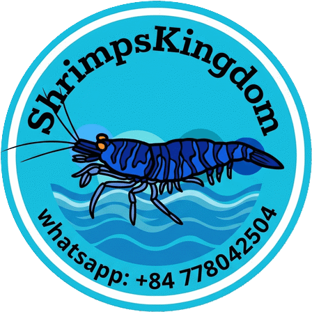Shrimps Kingdom logo